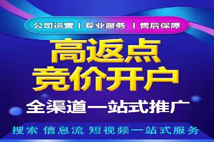竞价广告投放技巧：如何提高转化率——案例分析